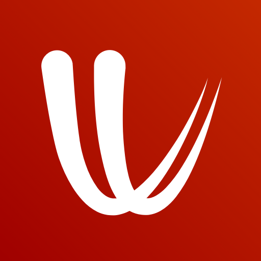 Windy app icon